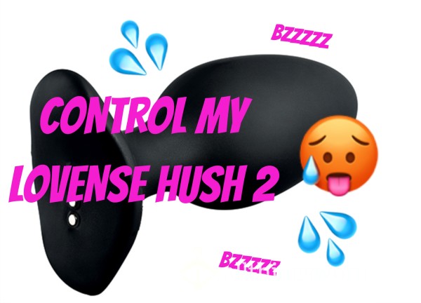 Control My Lovense Hush 2