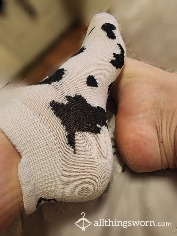 Cow Print No Show Socks