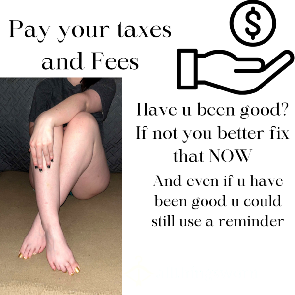 Pay Your Taxes And Fees