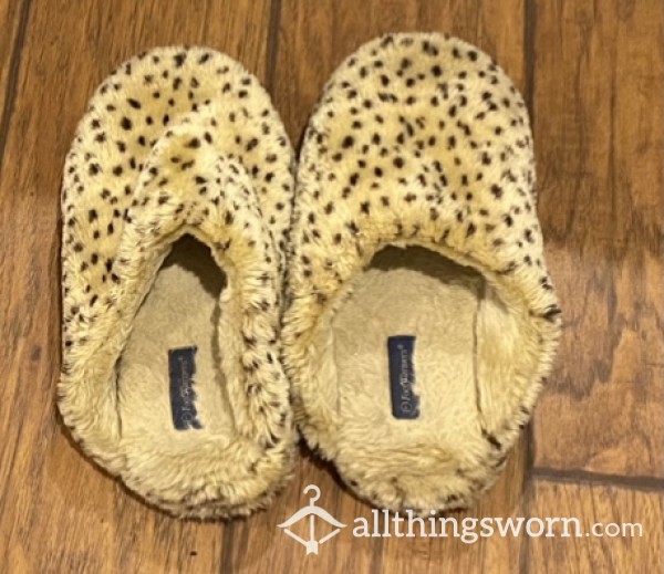 Cute Cheetah Heavily Worn Slippers