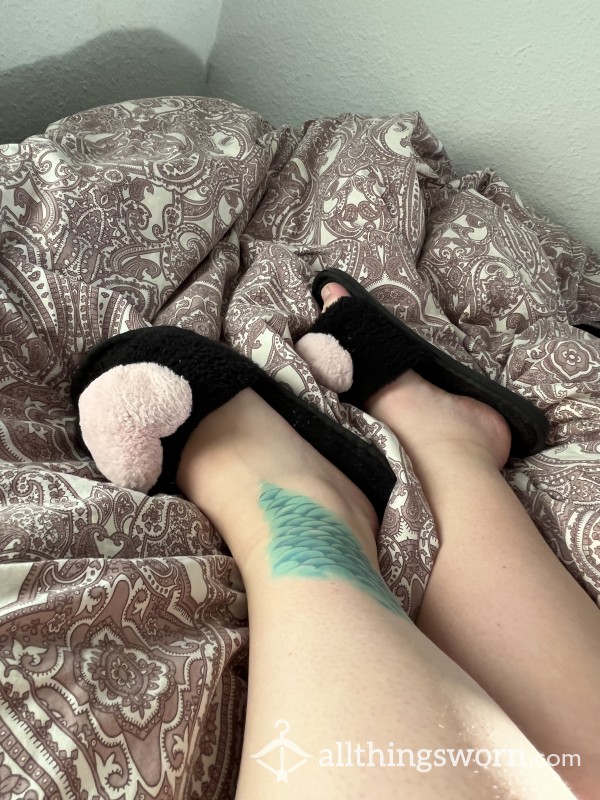 Cute And Wellworn Slippers