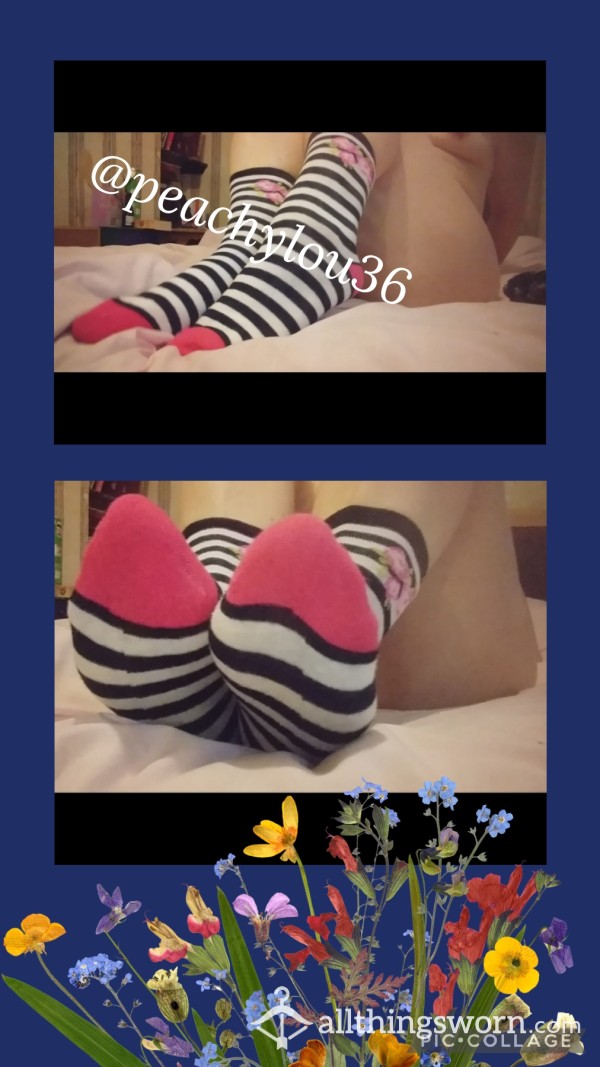 Cute Black N White Striped Ankle Socks Hot Pink Toes N Heels Rose's At The Top