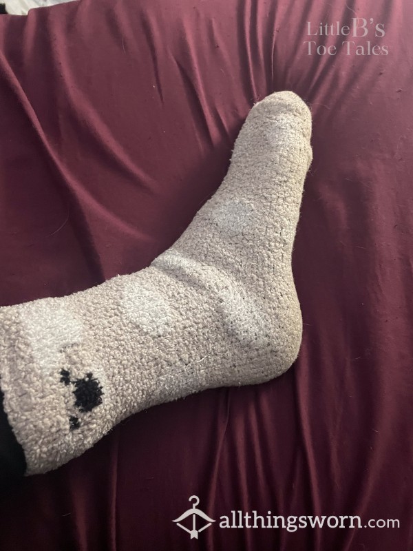 Cute Grey Fluffy Panda Socks
