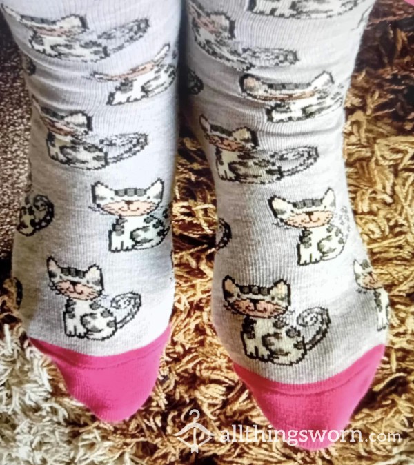Cute Kitty Socks