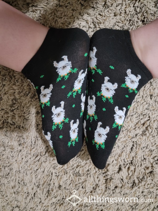 Cute Llama Socks