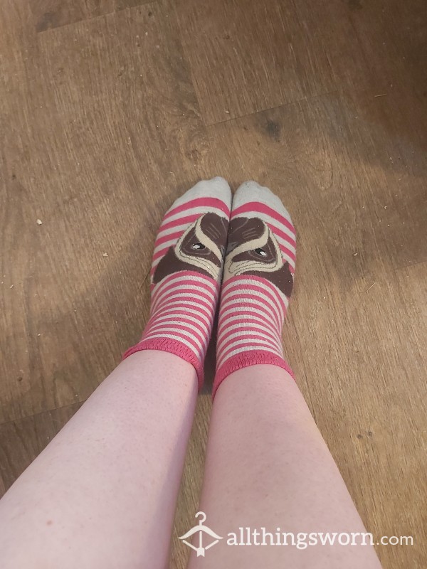 Cute Pug Socks