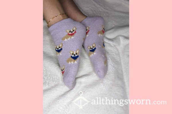 Cute Purple Corgi Socks - Ready To Get Dirty!!