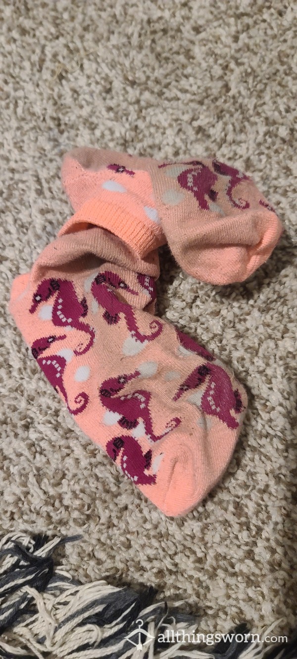 Cute Seahorse Socks 24hrs Worn