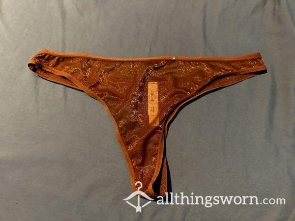 Cute Sheer Burnt Orange Nylon Panties