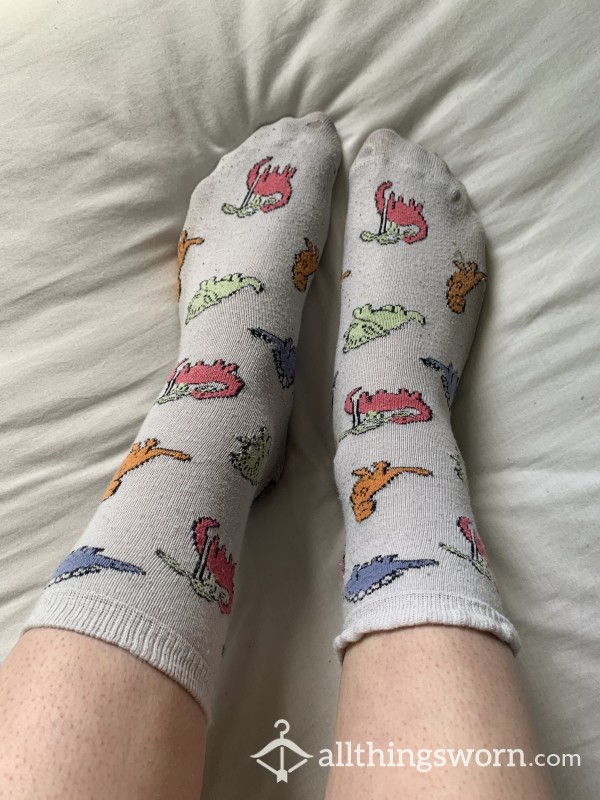 Cute Worn Dinosaur Socks