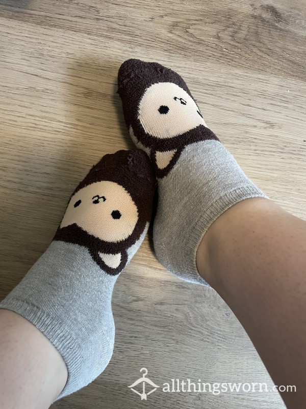 Cute Socks 🐻