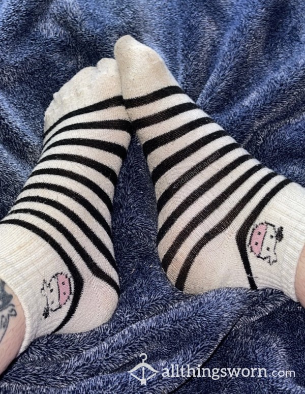 Cute Striped Cow Socks