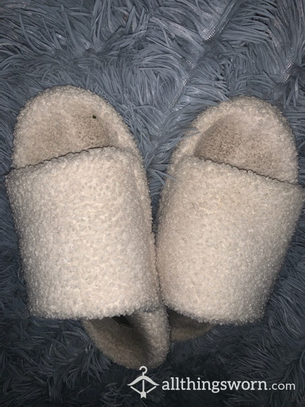 Daily, Dirty Slippers!