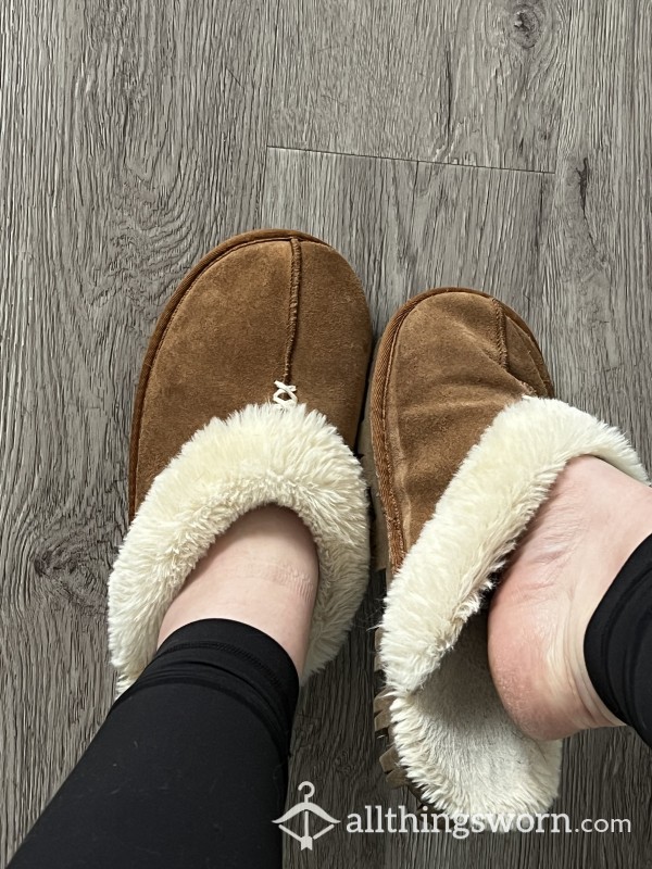 Daily House Slippers