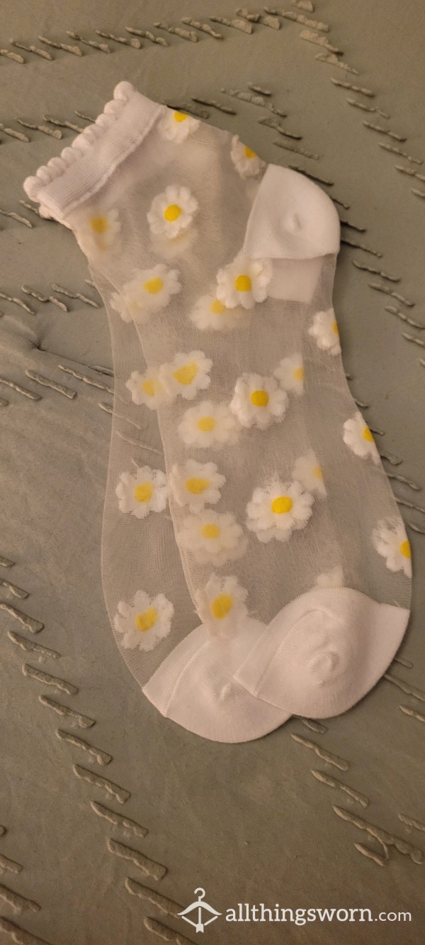 Daisy Printed Mesh Nylon Socks $15 For 24 Hr Wear And $5 Each Additional  Day