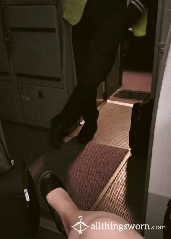 Dangling My Shoe In Front Of The Pilot😈