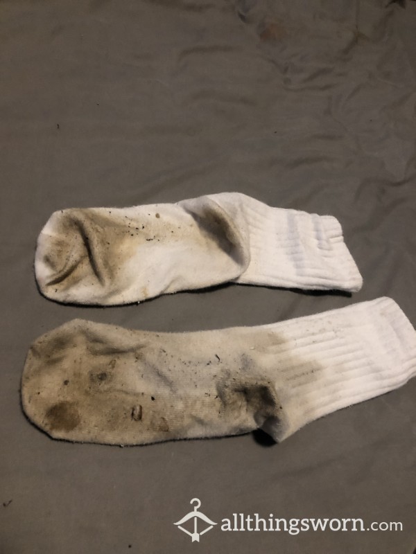 Dead Animal Scented Socks | Guilty Of Having Athletes Foot
