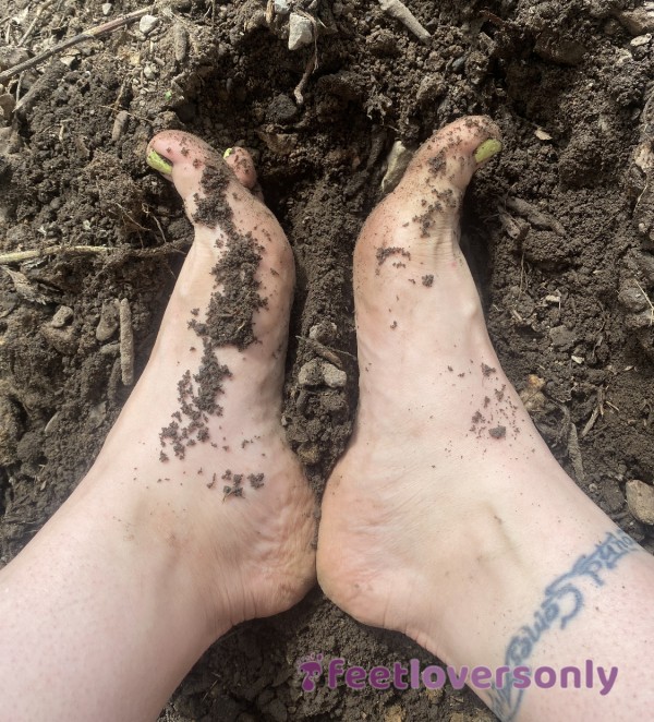 Diggin In The Dirt!