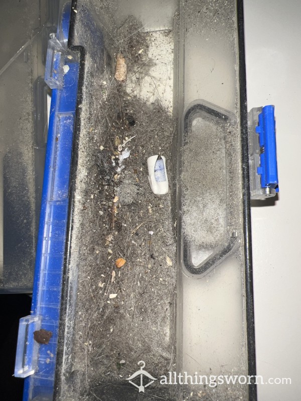 Trash Booking: Dirt From My Robovac