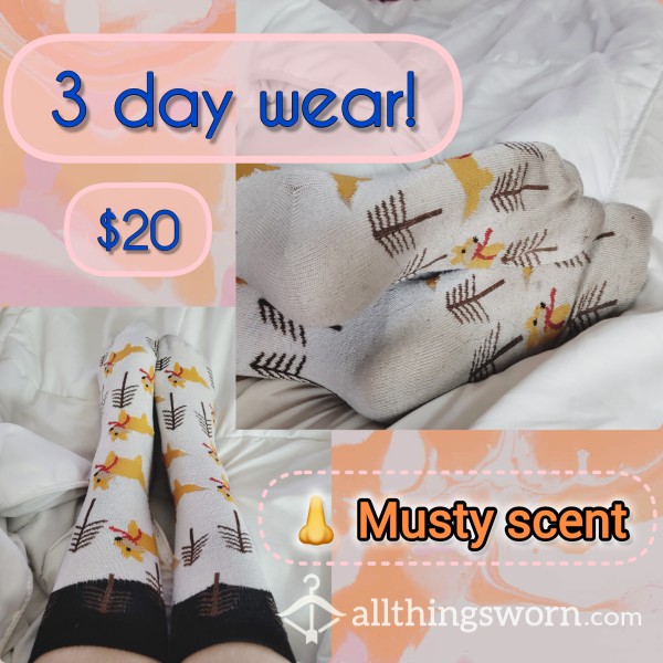 Dirty Fox Socks *3 Day Wear*