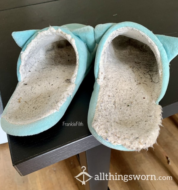 Dirty Smelly Slippers