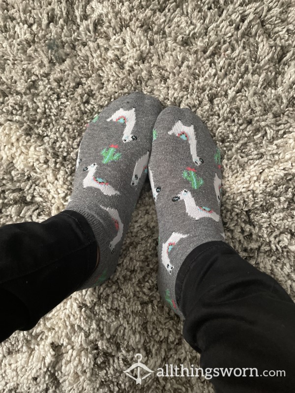 Dirty Socks Gray Llamas