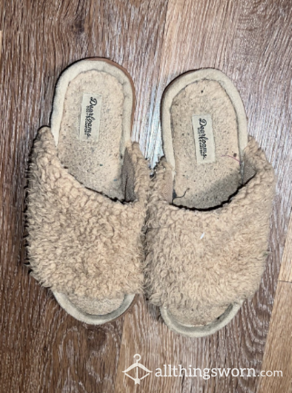 Disgusting House Slippers Worn Outside