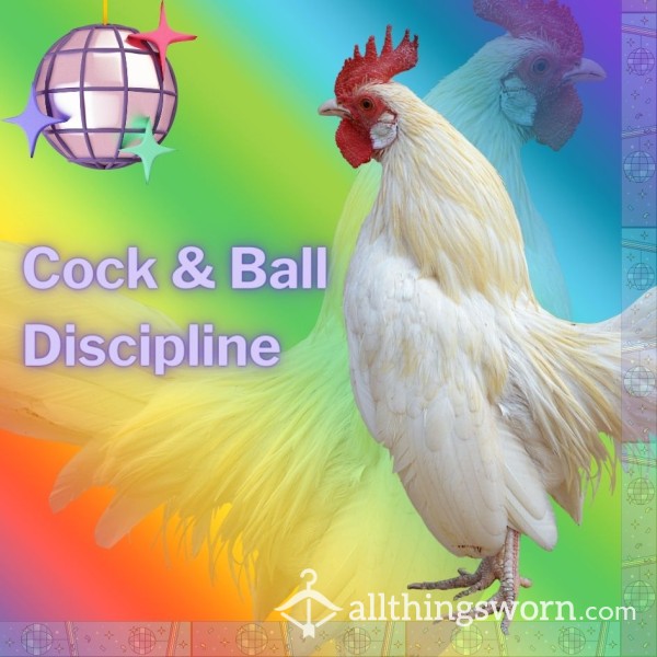 EXTREME COCK AND BALL TORTURE