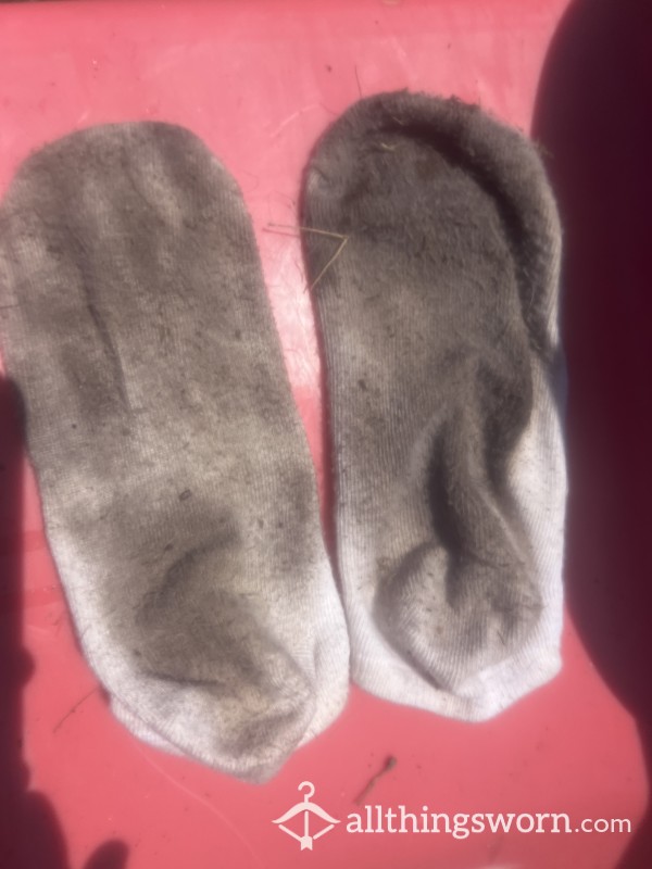 Filthy, Dirty Socks