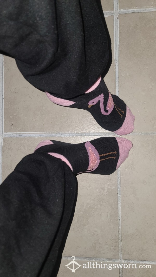 (Sale) Flamingo Socks