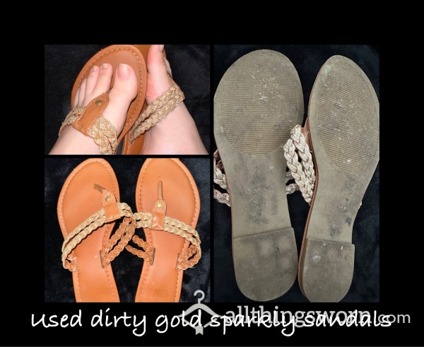 Flat Used Gold Sparkly Sandals