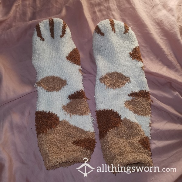 Fluffy Bear Home Socks