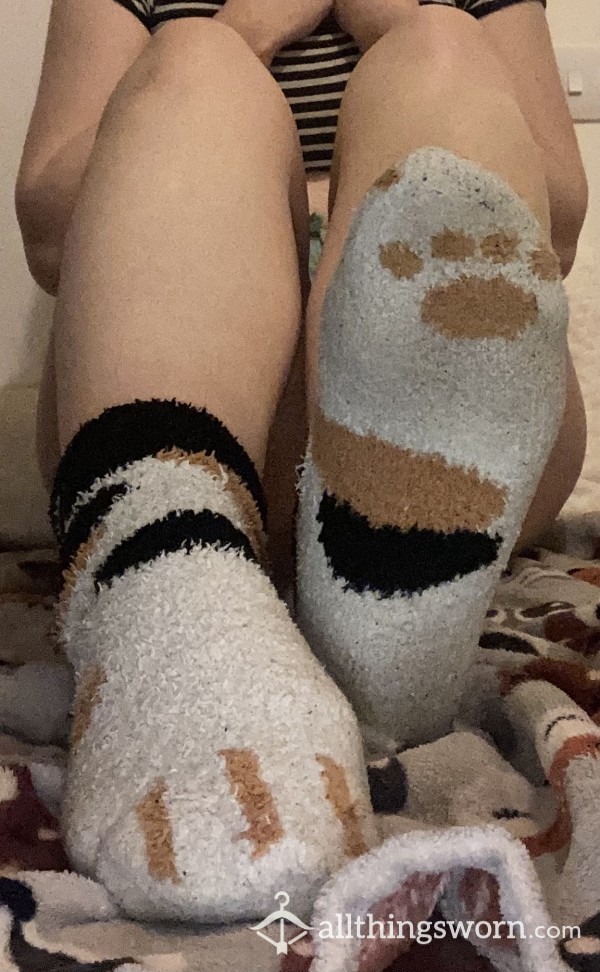 Fluffy Kitty Socks 🥰