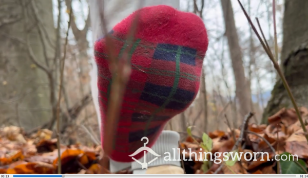 Forest Walk Pause With Red Square Pattern Socks