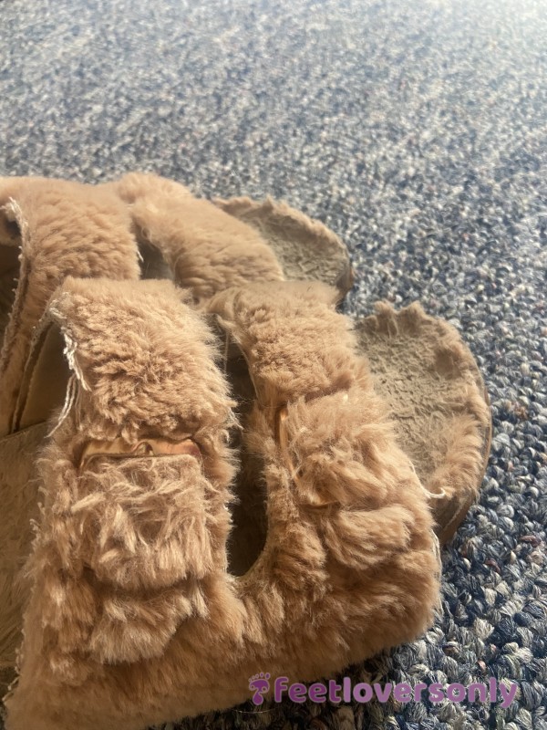 Furry Sandals - Well-Worn!