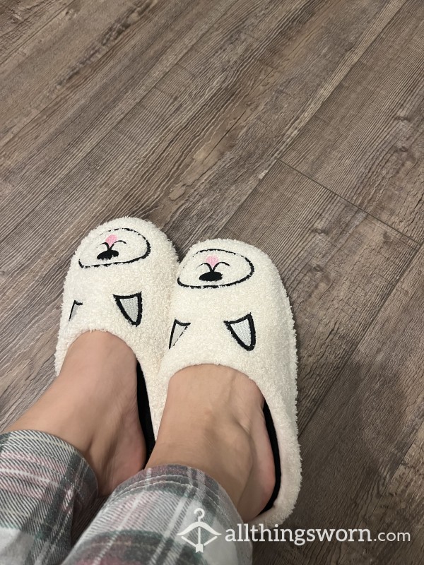 Fussy Slippers