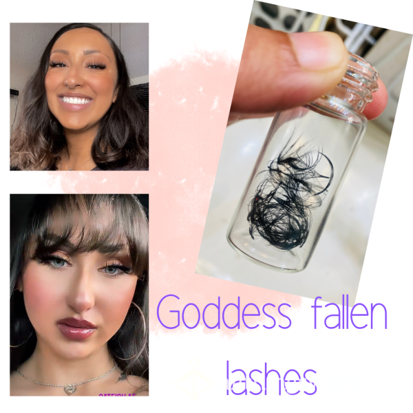 Goddess Fallen Lash Extensions
