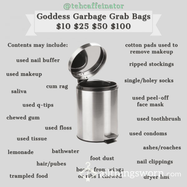 Goddess Garbage Grab Bags - Trash From Tehcaffeinator - Get A Huge Random Variety Of Personal Items From Me!