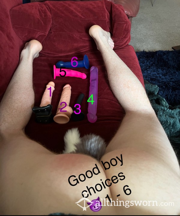 Good Boy Choices