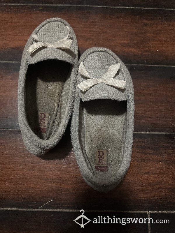 Gray Well-Worn Slippers