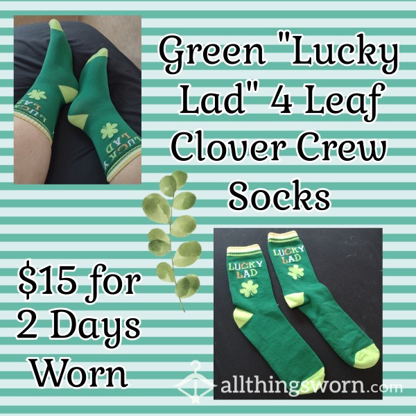 Green "Lucky Lad"  4 Leaf Clover Crew Socks