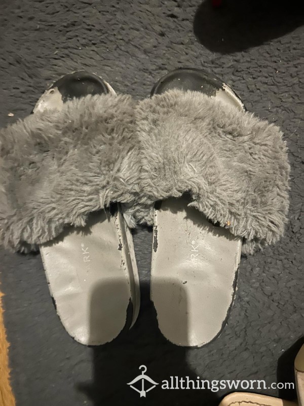 Grey Fluffy Old Sliders