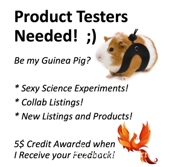 Guinea Pigs Needed!  Xx  Test Out My Newest Products And Listings!  Xx  5$ Credit Awarded When I Receive Your Feedback!  Xx