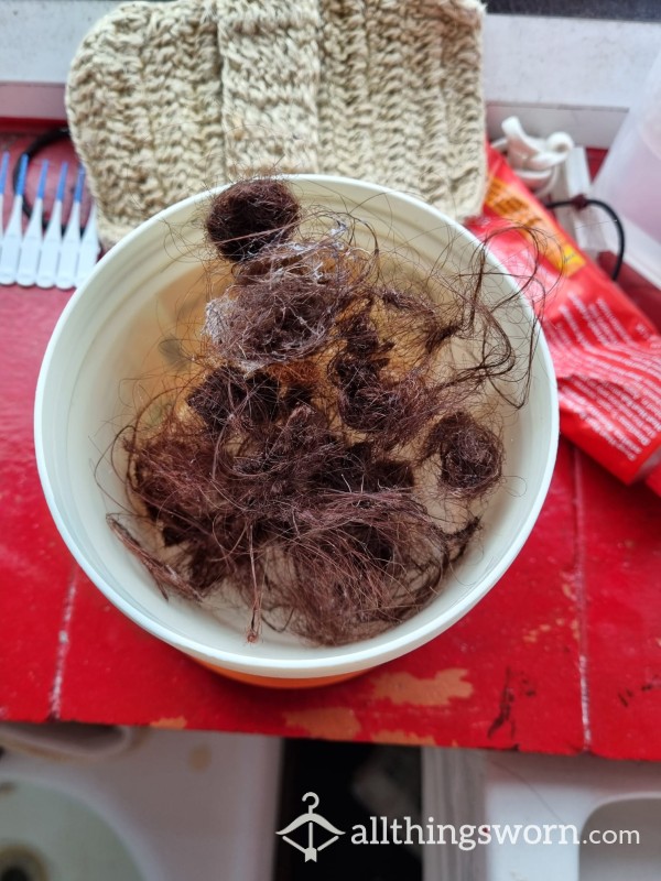 Hair Collected After Washing My Hair!