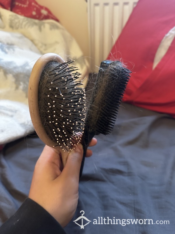 Hair From This Queens Hair Brush