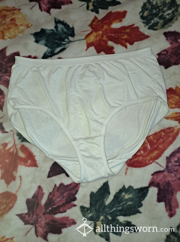 Hanes Cotton White Brief Panties