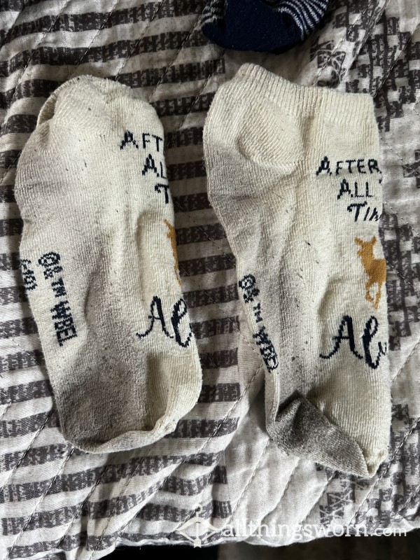 Harry Potter Dirty Socks