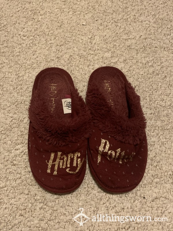Harry Potter Worn Out Slippers