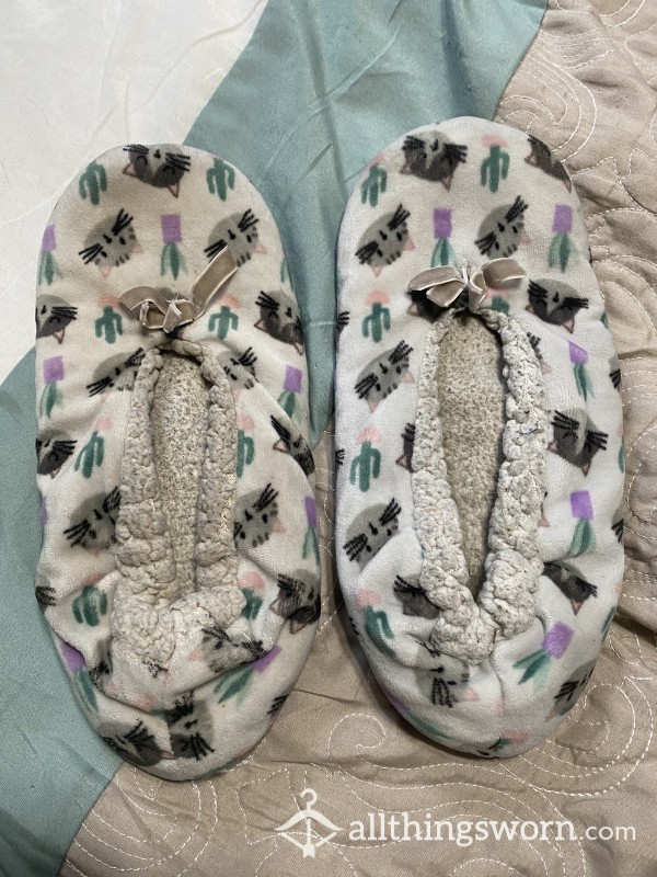 🐱Heavily Worn & Well-Loved Cat & Cactus Slippers🌵