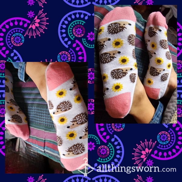 Hedgehog And Sunflower Socks